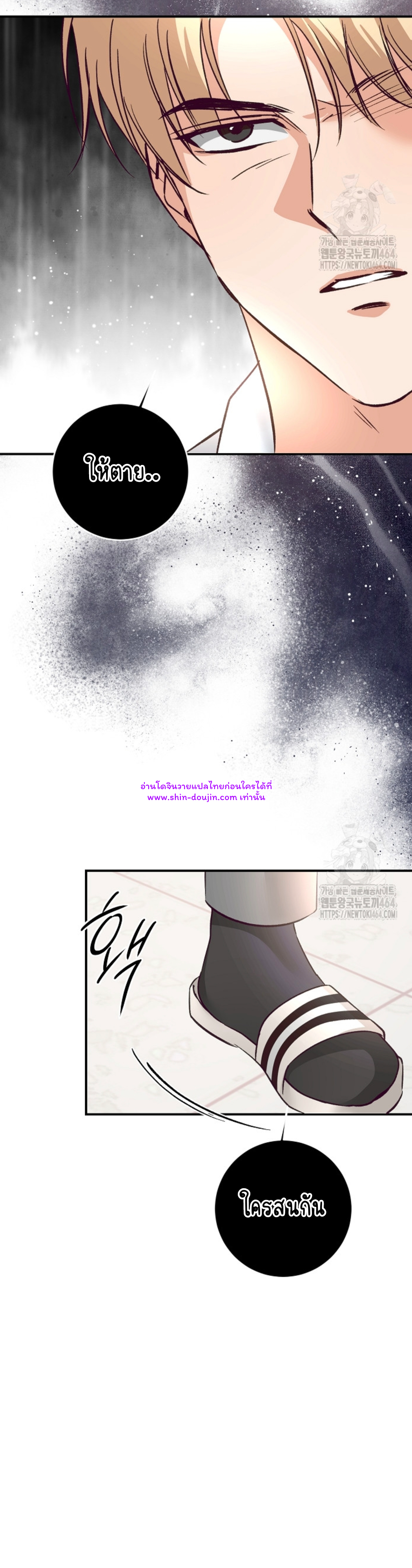 Dandelion Flower Observation Diary EP 11